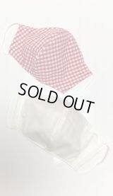 マスクＢセット【ギンガムチェック赤色・ストライプ２個セット・送料込】